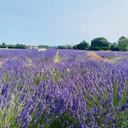 En Drome Provencale וילה Montélimar
